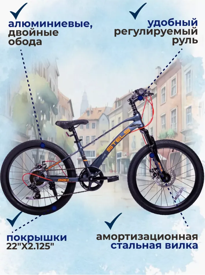 Stels LEADER 220